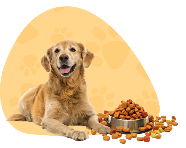 Pet Shop Online Fish & Pet Supplies Online Ballarat, Australia