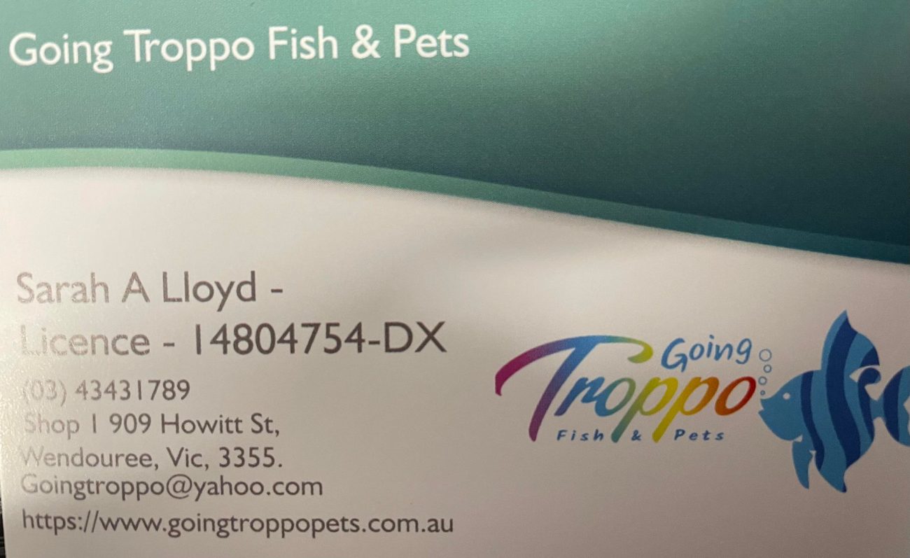 In Store Products Archives Going Troppo Fish and Pet Ballarat